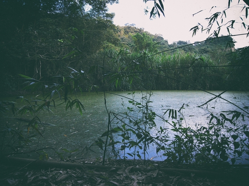 澎葉生（Yannick Dauby）× 蔡宛璇 《北方的埔地》。（©山冶計畫mt.project）