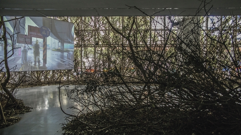 蔡明亮「來美術館郊遊」展覽現場。（攝影／黃宏錡，北師美術館提供）