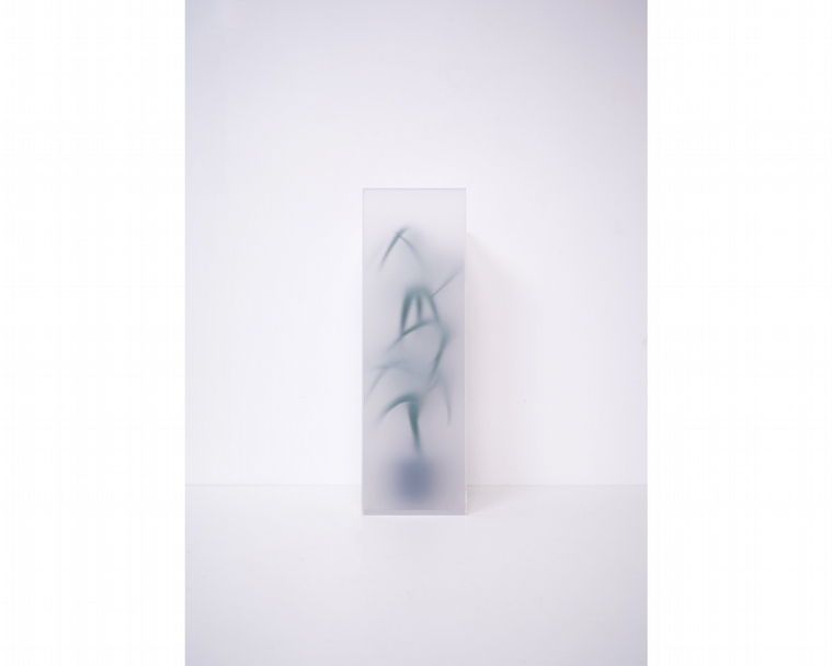 謝俊昇《栩栩如生》，壓克力板、紙、馬達，50x17x17cm，2019。（大觀藝術空間提供）