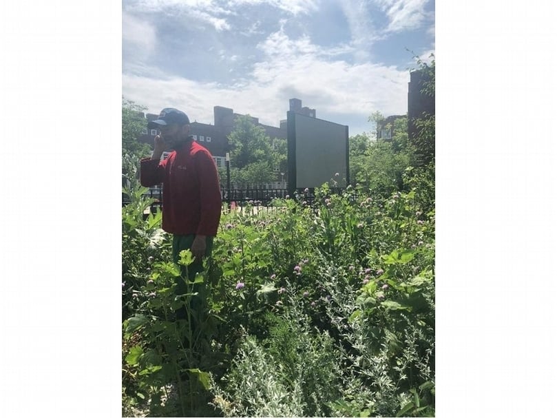 Thuen與他在教堂前經營的樸門庭園。(賴怡辰提供)