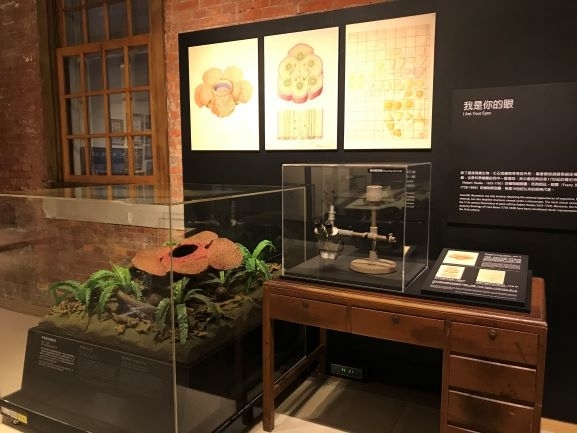 【小典藏｜愛看展】喜歡畫畫也超愛大自然嗎? 來看「繪自然－博物畫裡的臺灣」