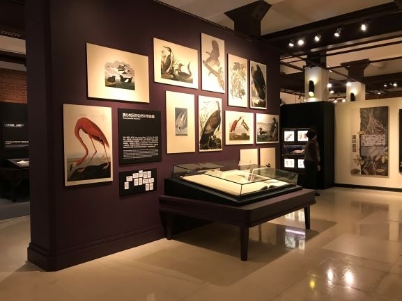 【小典藏｜愛看展】喜歡畫畫也超愛大自然嗎? 來看「繪自然－博物畫裡的臺灣」