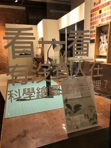 【小典藏｜愛看展】喜歡畫畫也超愛大自然嗎? 來看「繪自然－博物畫裡的臺灣」