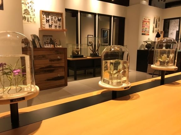 【小典藏｜愛看展】喜歡畫畫也超愛大自然嗎? 來看「繪自然－博物畫裡的臺灣」