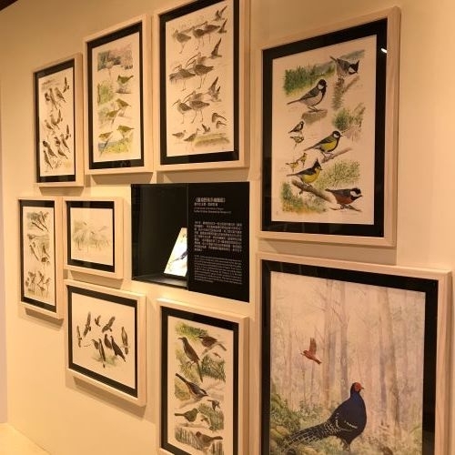 【小典藏｜愛看展】喜歡畫畫也超愛大自然嗎? 來看「繪自然－博物畫裡的臺灣」
