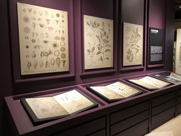 【小典藏｜愛看展】喜歡畫畫也超愛大自然嗎? 來看「繪自然－博物畫裡的臺灣」