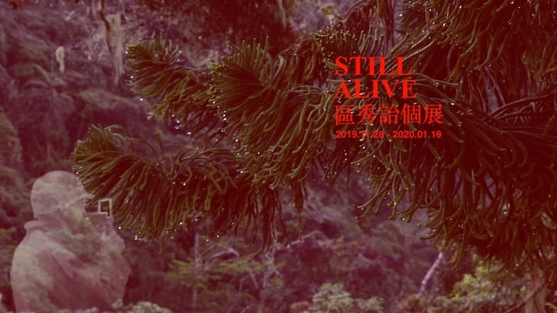 「Still Alive：區秀詒個展」主視覺。（© 立方計劃空間）