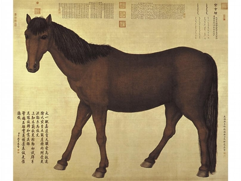 清艾啟蒙《後十駿圖 寶吉騮》，圖版引自《清代宮廷繪畫》。（林士鉉提供）