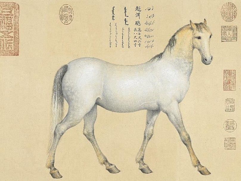 清郎世寧《愛烏罕四駿》之「超洱驄」，國立故宮博物院藏。（國立故宮博物院提供）