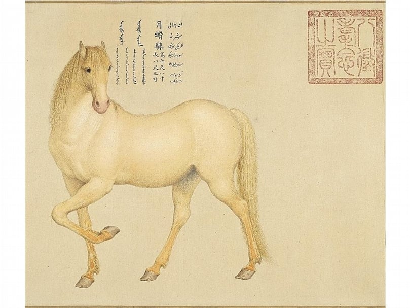 清郎世寧《愛烏罕四駿》之「月窟騋」，國立故宮博物院藏。（國立故宮博物院提供）