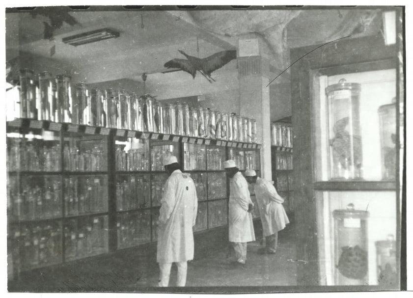 1992年新歷史小組成員在武漢大學生物系提取疫苗,為前往廣州實施消毒行為做準備。(任戩提供)
