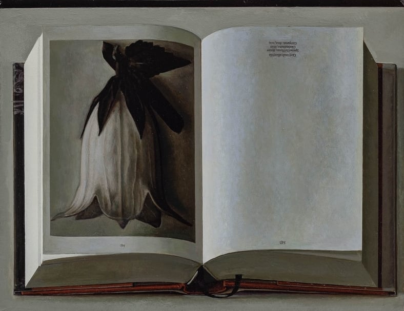 劉野《Book Painting No. 21 (Karl Blossfeldt, The Complete Published Work, Taschen GMBH, 2017)》,油彩、畫布,28x36cm,2018。(卓納畫廊提供)