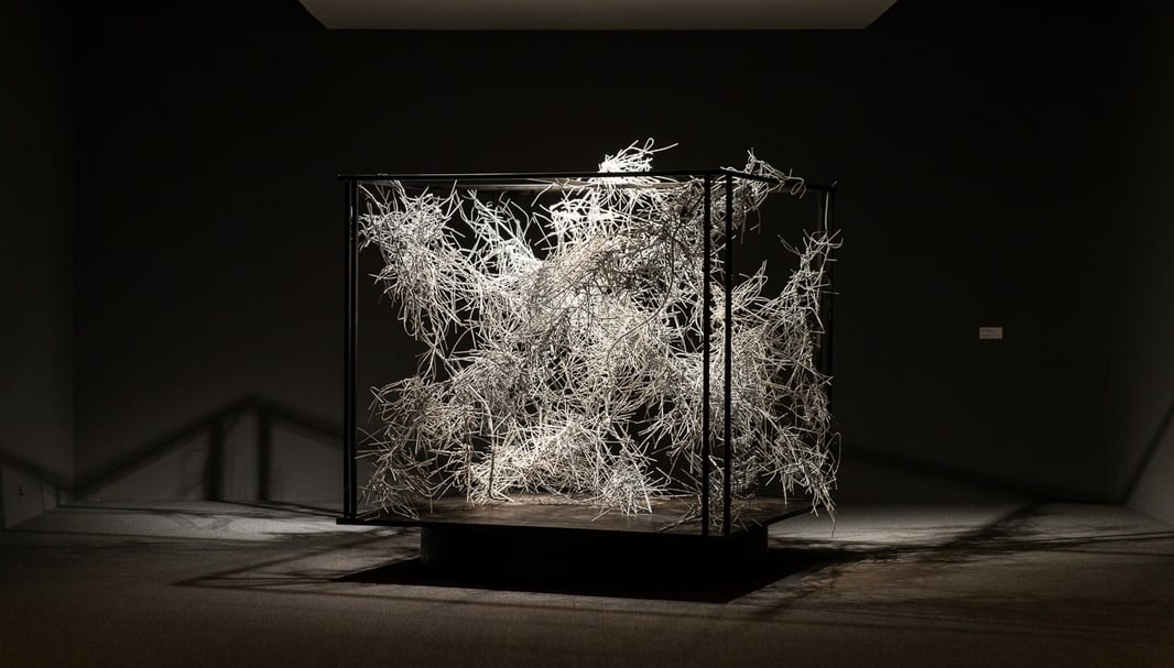 「江賢二：回顧展」展覽現場。（© 臺北市立美術館）