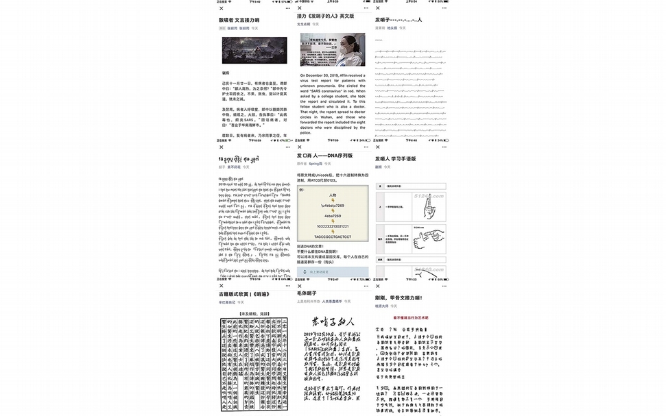 在社交媒體中不斷被傳播和再創造的各種版本的關於疫情「發吹哨」人的報導。（圖片來自網路）