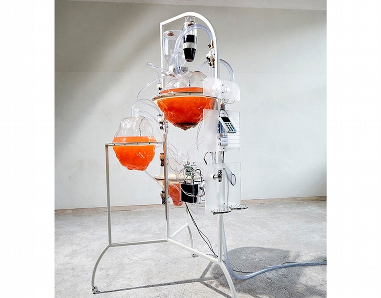 Arvid&Marie, S.A.M. The Symbiotic Autonomous Machine. (Photo credits: Femke Rijerman DAE)