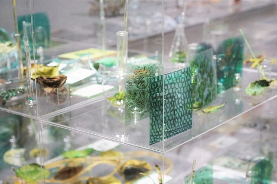 《花間》(Inside the flower)依據植物生命歷史與標本知識系統的拆解和重構(圖片來源:毓繡美術館提供)