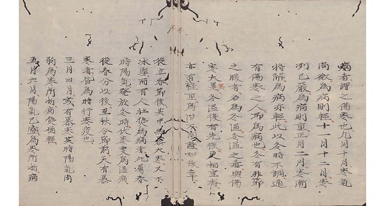 漢張仲景著《傷寒論》，日本和氣朝臣嗣成貞和二年（1346）據丹波雅忠康平三年（1060）鈔本再鈔本，德國柏林國家圖書館藏。圖版取自書格網站。
