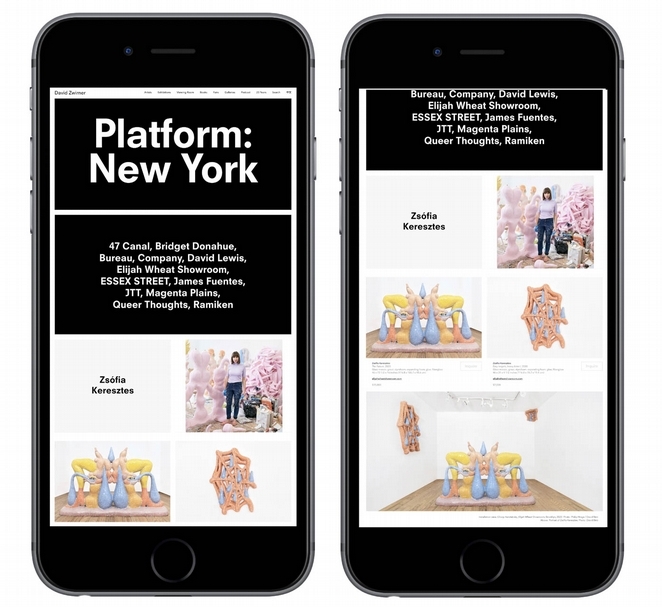 卓納畫廊與12家年輕的紐約畫廊共享的線上展銷會「平台:紐約」(Platform:New York)」頁面截圖。(卓納畫廊提供)