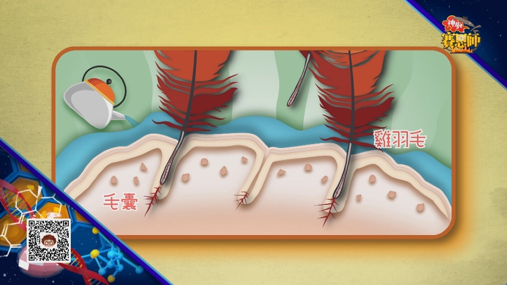 【小典藏X公視 神廚賽恩師】每週一菜之今天吃什麼？叫化子雞上桌啦！