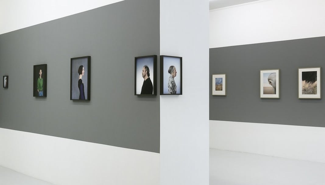 Mai 36將重新於本月15日開館，延長展出捷克攝影師耶特卡．漢兹洛娃個展至今年8月。（©Mai 36 Gallerie）