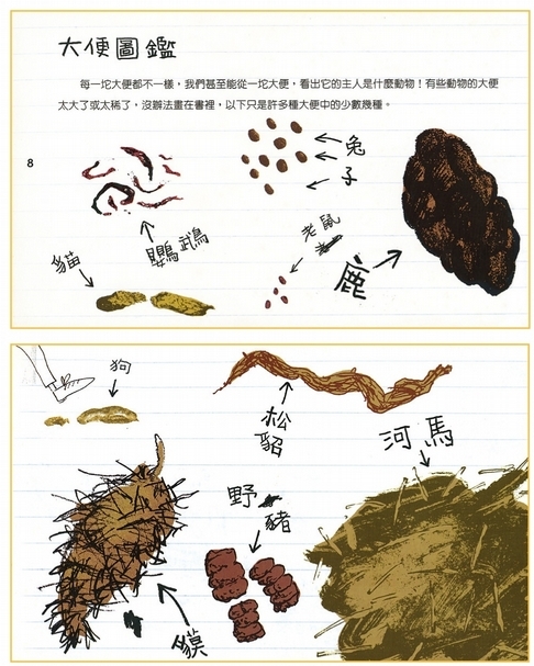 一打開書，映入眼簾的是大便圖鑑，圖鑑就像是紙上博物館的櫥窗。