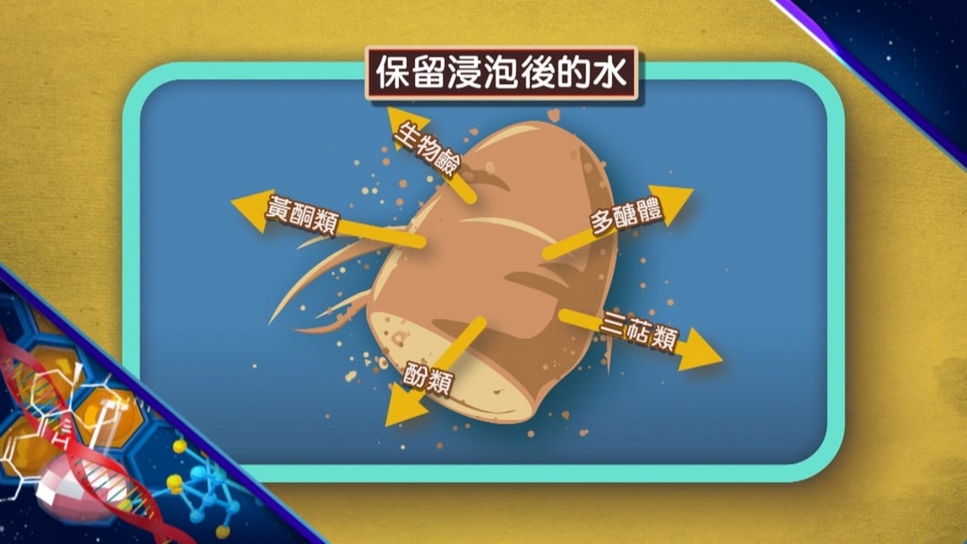【小典藏X公視 神廚賽恩師】每週一菜之今天吃什麼？喝碗肉骨茶來補身!