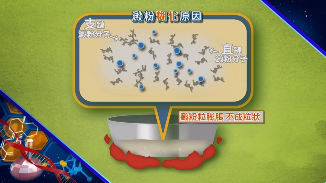 【小典藏X公視 神廚賽恩師】每週一菜之今天吃什麼？咕咾肉酸甜好滋味～