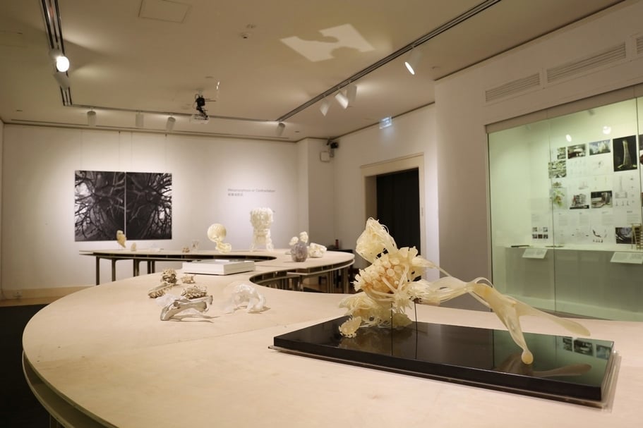 展廳的第一展區「骨頭」一景。（香港大學美術博物館提供，攝影／康婉瑩）