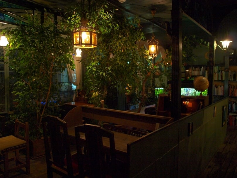 過去店長在長野縣的山中小屋中悠閒閱讀的美好經驗，讓他認為閱讀和綠十分搭配，因此將這間店的主題設定為「在森林中閱讀」。
