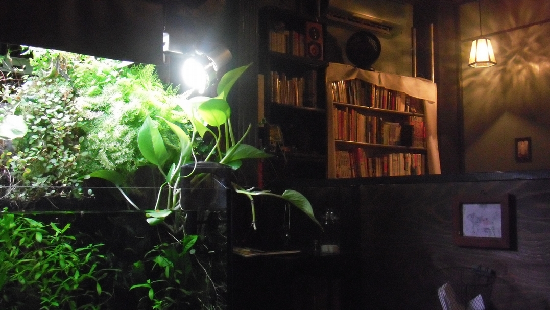 除了安靜之外，R座讀書館更引人注目的是滿滿的綠意，不是以假亂真的塑膠植栽裝飾，而是貨真價實的樹，錯落在座位之間