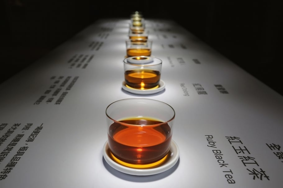 不同程度的發酵帶來不一樣的茶色