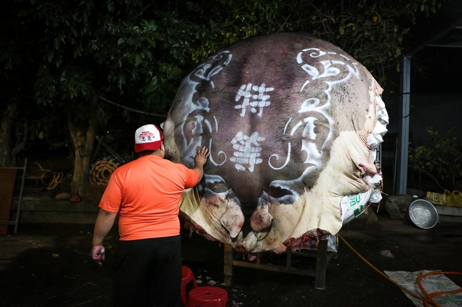今年入選本計畫的羅伃君、顧廣毅《未來神豬博物館》研究照片。（藝術家提供）