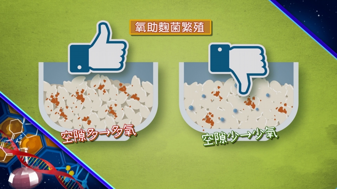 【小典藏X公視 神廚賽恩師】每週一菜之今天吃什麼？口感獨特荔枝肉登場！