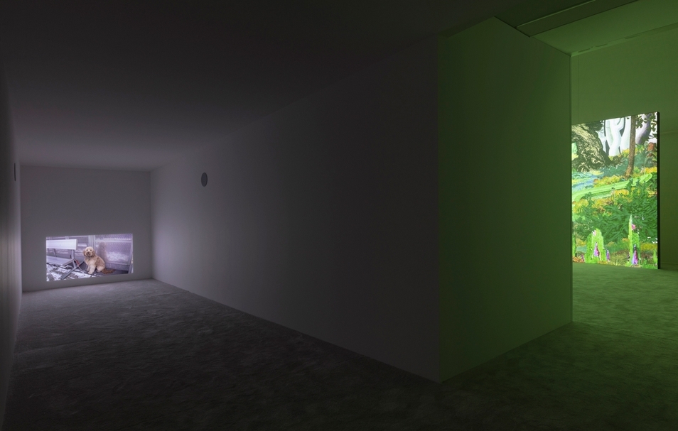 「瑞秋．羅絲個展」展覽一隅。（攝影／Andrea Rossetti，© Andrea Rossetti / Lafayette Anticipations, Paris）