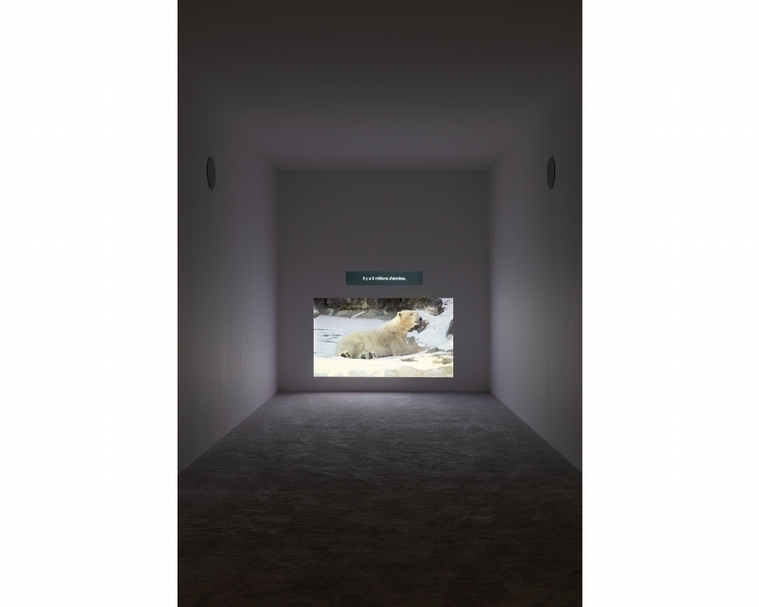 本次個展展出的2013年錄像作品《坐著，餵食，睡覺》 ，也曾參與「2014台北雙年展——劇烈加速度」。（攝影／Andrea Rossetti，© Andrea Rossetti / Lafayette Anticipations, Paris）