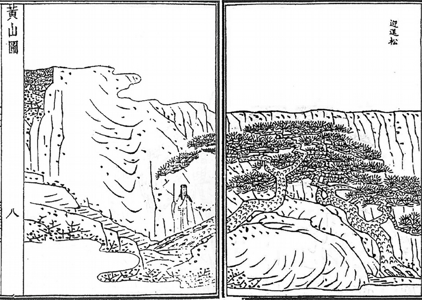 圖8 清釋雪莊繪《黃山圖》之〈迎送松〉。迎客松挺立於玉屏峰東側、玉屏樓左,倚獅石破石而生,為黃山松的代表。送客松位於好漢坡上方往迎客松遊道旁,在玉屏樓的右側,與迎客松遙遙相對,側伸一枝,形似作揖送客。(圖版來源:汪士鉉等纂《黃山志續集》。)