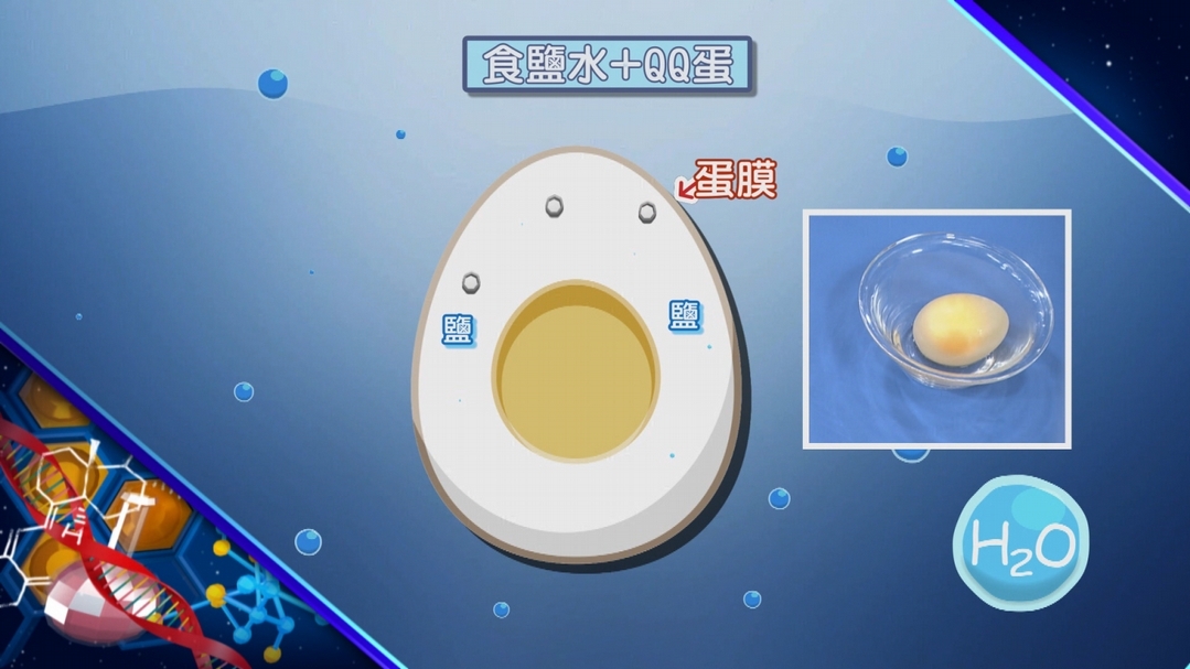 【小典藏X公視 神廚賽恩師】每週一菜之今天吃什麼？老闆，來碗滷肉飯！