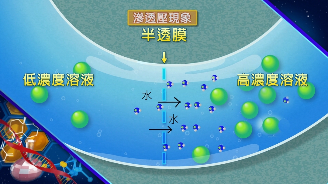 【小典藏X公視 神廚賽恩師】每週一菜之今天吃什麼？老闆，來碗滷肉飯！