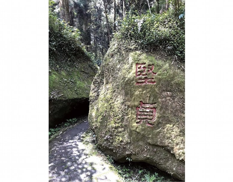 神木步道上的二處刻石「風雨中的寧靜」與「堅貞」，雖未署款，細究仍是臺靜農筆意。（羅啟倫提供）