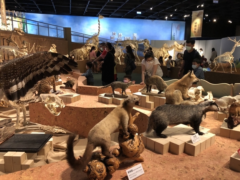 你知道這些動物的名字嗎？快來認識他們吧～