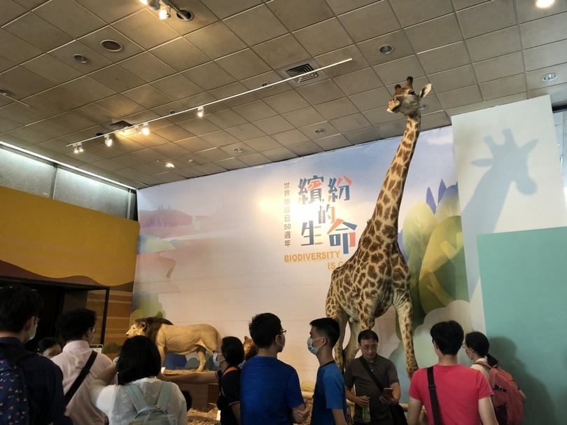 【小典藏│愛看展】科博館特展《繽紛的生命》從生物多樣性看見美麗的家園
