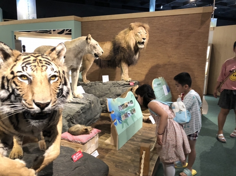 【小典藏│愛看展】科博館特展《繽紛的生命》從生物多樣性看見美麗的家園