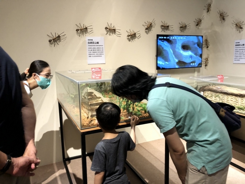 【小典藏│愛看展】科博館特展《繽紛的生命》從生物多樣性看見美麗的家園
