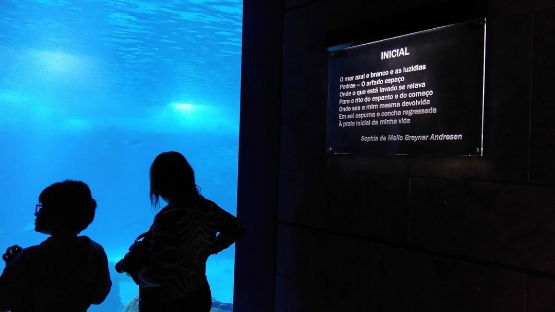 位於新規劃地的里斯本海洋水族館,處處可見詩人暨兒童文學家索菲婭・安德雷森(Sophia de Mello Breyner Andresen)關於海洋與自然的詩作。