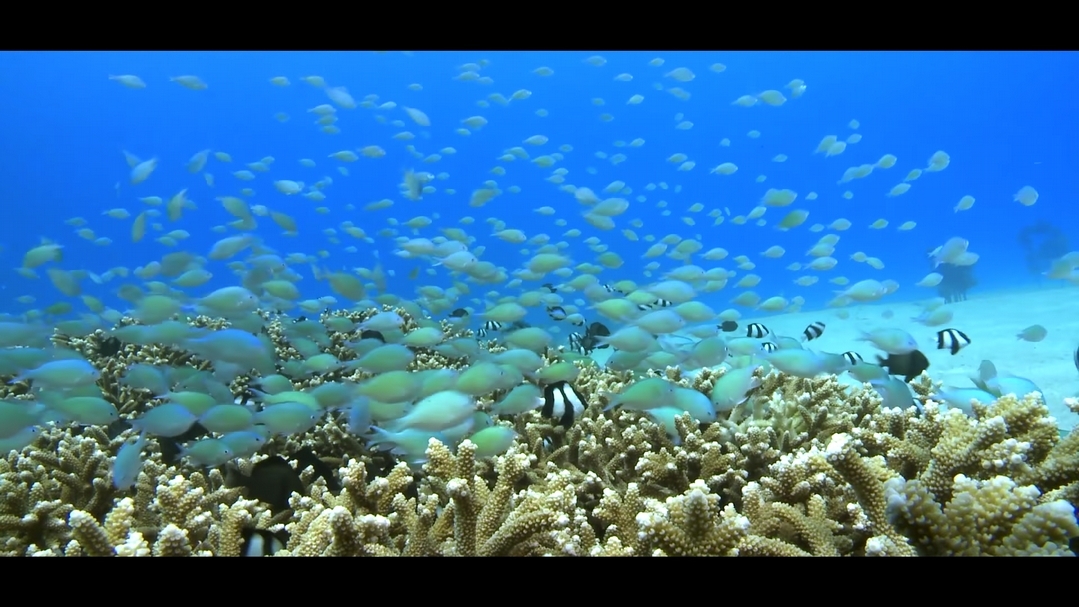 國立海洋科技博物館 海洋環境廳（圖片來源：國立海洋科技博物館官網 ）