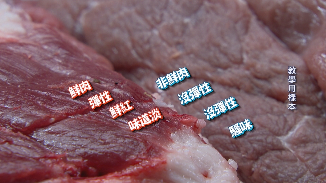 【小典藏X公視 神廚賽恩師】每週一菜之今天吃什麼？入口即化的東坡肉上桌～
