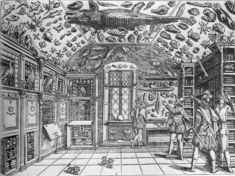 16世紀義大利那不勒斯的藥劑師Ferrante Imperato，出版了自己在格拉維納宮（Palazzo Gravina）的「珍奇屋」的收藏版畫，成為文藝復興時期人文主義者展示自然歷史研究收藏的第一個圖像。（取自網路）