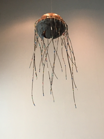 水母（圖片來源：海洋科技博物館）
