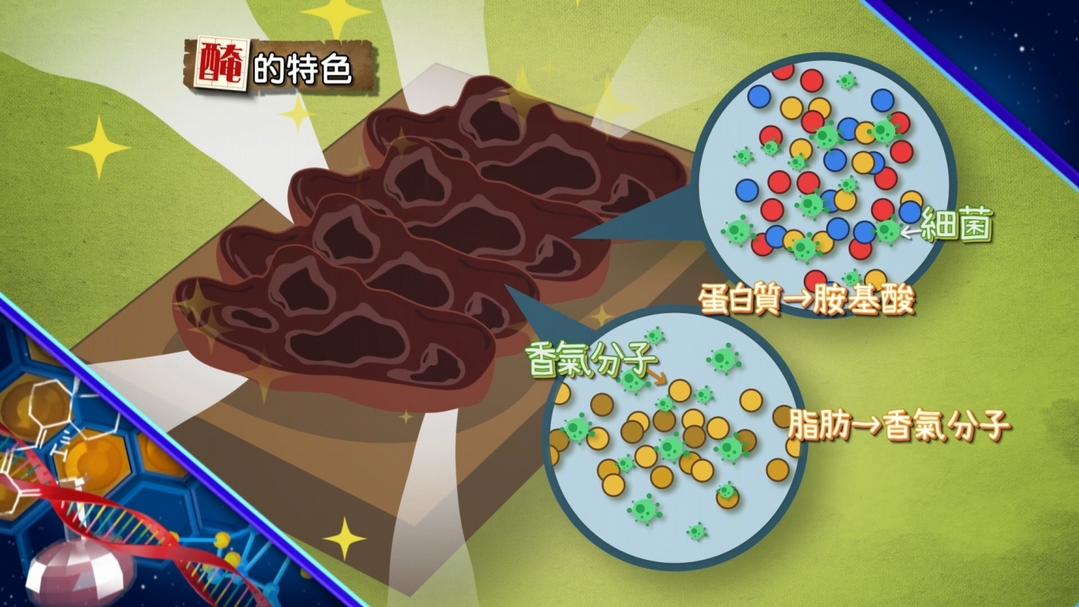【小典藏X公視 神廚賽恩師】每週一菜之今天吃什麼？金華火腿煮湯濃郁好味道！