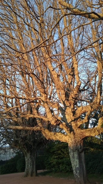 【專欄｜從澳門開始的繪本寶物聚】No.6「請問詩人在哪裡？」：葡萄牙有書有美有生活的博物館（下）